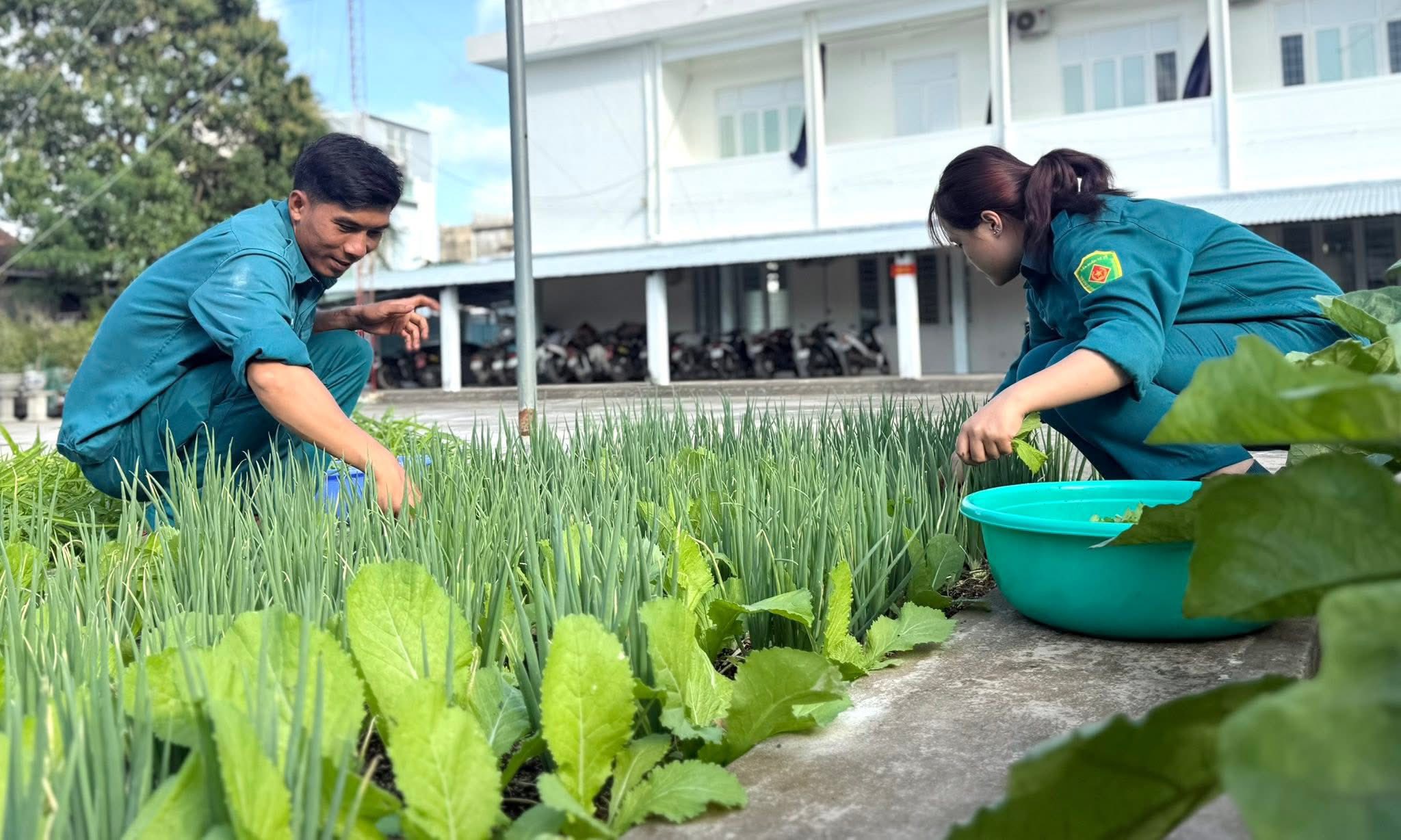 Ban CHQS phường tăng gia sản xuất, cải thiện đời sống cho cán bộ, chiến sĩ