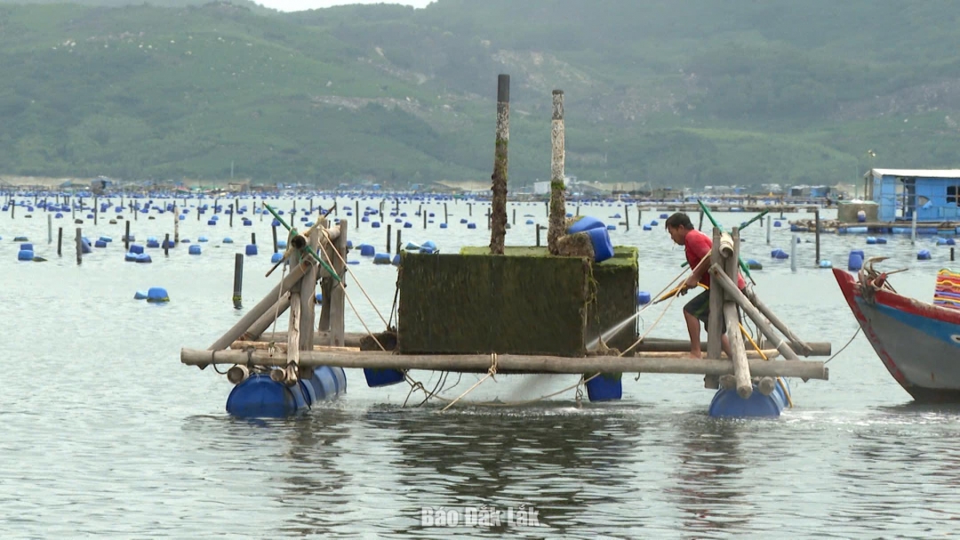 Bão số 13 Kalmaegi mạnh nhất giật cấp 17 trong 24 giờ tới